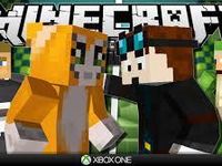 Minecraft Gamer (Stampylonghead, DanTDM, Skydoesminecraft, etc.)