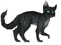 Darkstripe