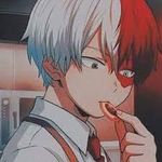 todoroki