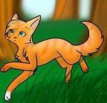 squirrelflight