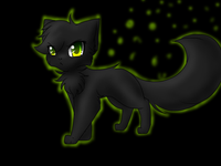 Hollyleaf