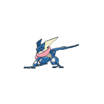 Greninja(my partner)