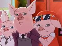 Three little pigs