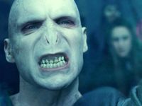 Voldermort