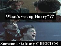 Potterheads!