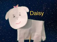 Daisy