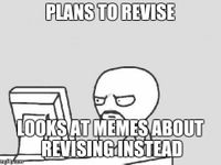 Revising by looking at memes about revising (me)