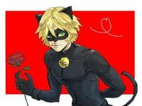 Chat Noir