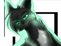 Hollyleaf