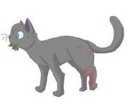 When Cinderpelt gets hit by a "monster"