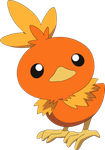 Torchic