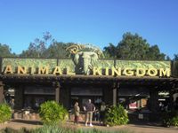 Animal kingdom