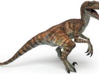 Velociraptor