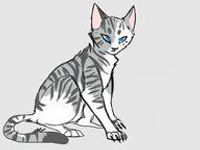 Ivypool