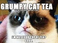 grumpy cat or...