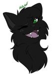 Hollyleaf