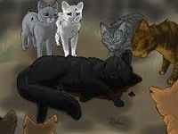 Hollyleaf sacrificing herself and saving Ivypool