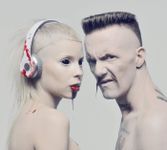 Die Antwoord