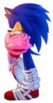 SonAmy (Sonic x Amy )