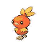 #255 Torchic