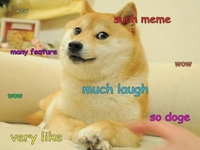 doge meme