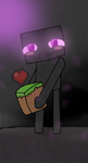 Enderman,I Choose You!