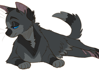 Cinderpelt