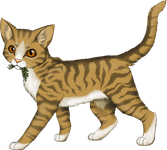 Leafpool!