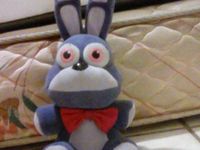 Bonnie plush