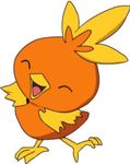 Torchic