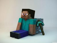 Steve from minecraft