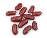 Kidney bean