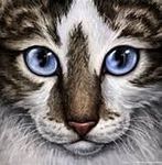 blue eye