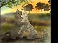 graystripe and silverstream