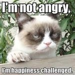 Grumpy Cat