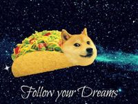 1.follow your dreams