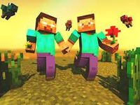 steve x herobrine