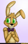 SpringBonnie