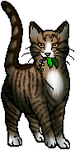 Leafpool :)