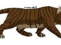 Tigerstar