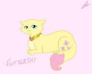 Fluttershy cat form