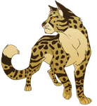 Leopardstar