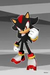 ShadowFanGirl13579 ShadowFanGirl13579