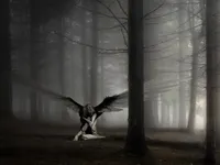 elecricblue elecricblue