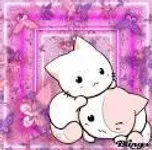 Random_Cat Random_Cat