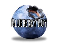 Blueberryboi