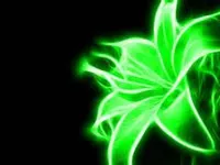 zombiegirl5544 zombiegirl5544