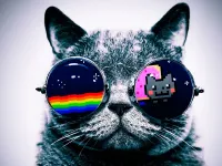 unicornsaremajestic unicornsaremajestic