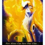 Redtail_warriors Redtail_warriors