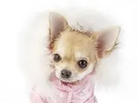 sadie8111 sadie8111
